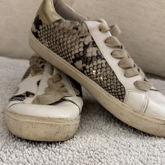 Steve Madden Shoes - Steve Madden Snake Print Sneakers with Gold Accents